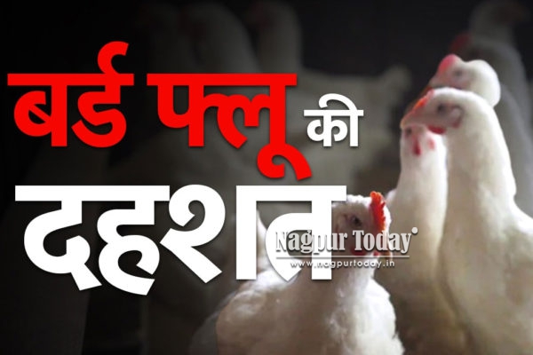 नागपुर में बर्ड फ्लू की पुष्टि, सेमिनरी हिल्स ‘बाधित क्षेत्र’ घोषित