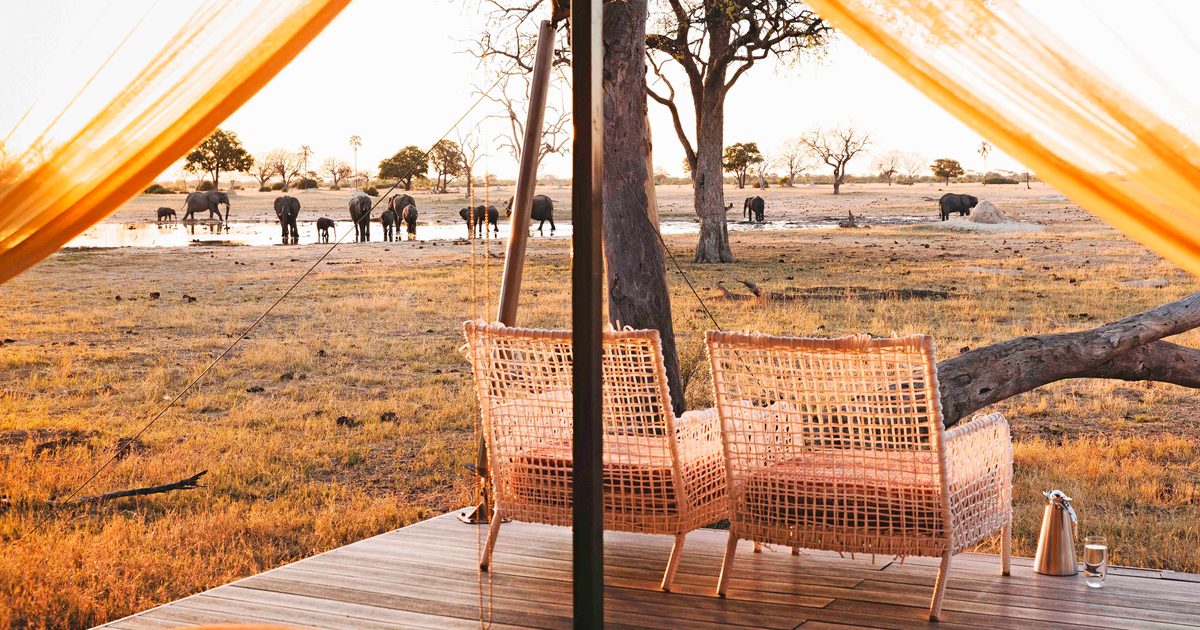Into the wild: a luxury eco-safari in southern Africa worth the journey