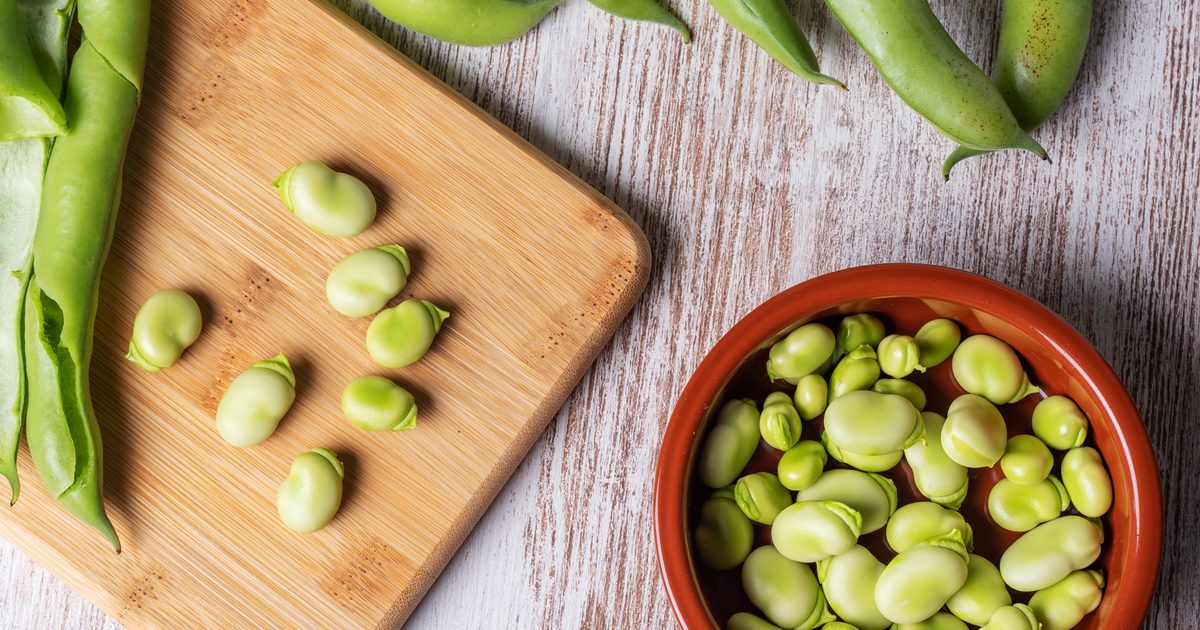 13 health benefits of broad beans (fava beans)