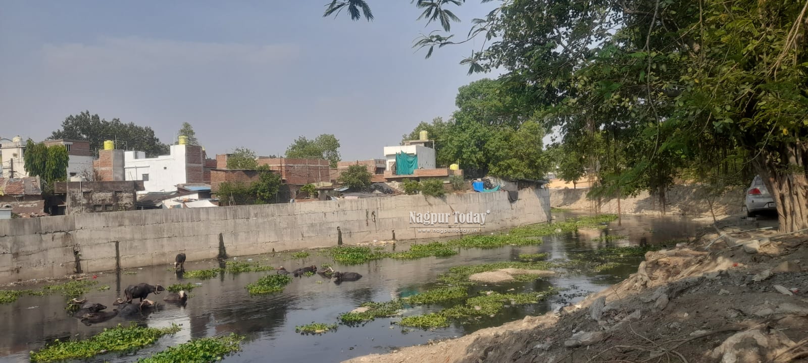 नाग नदीचा गाळ कुणी पचवला?, महापौरांनी दिले चौकशीचे निर्देश