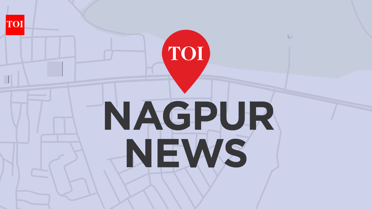 466 homeless get safe shelter as NMC steps up summer action | Nagpur News