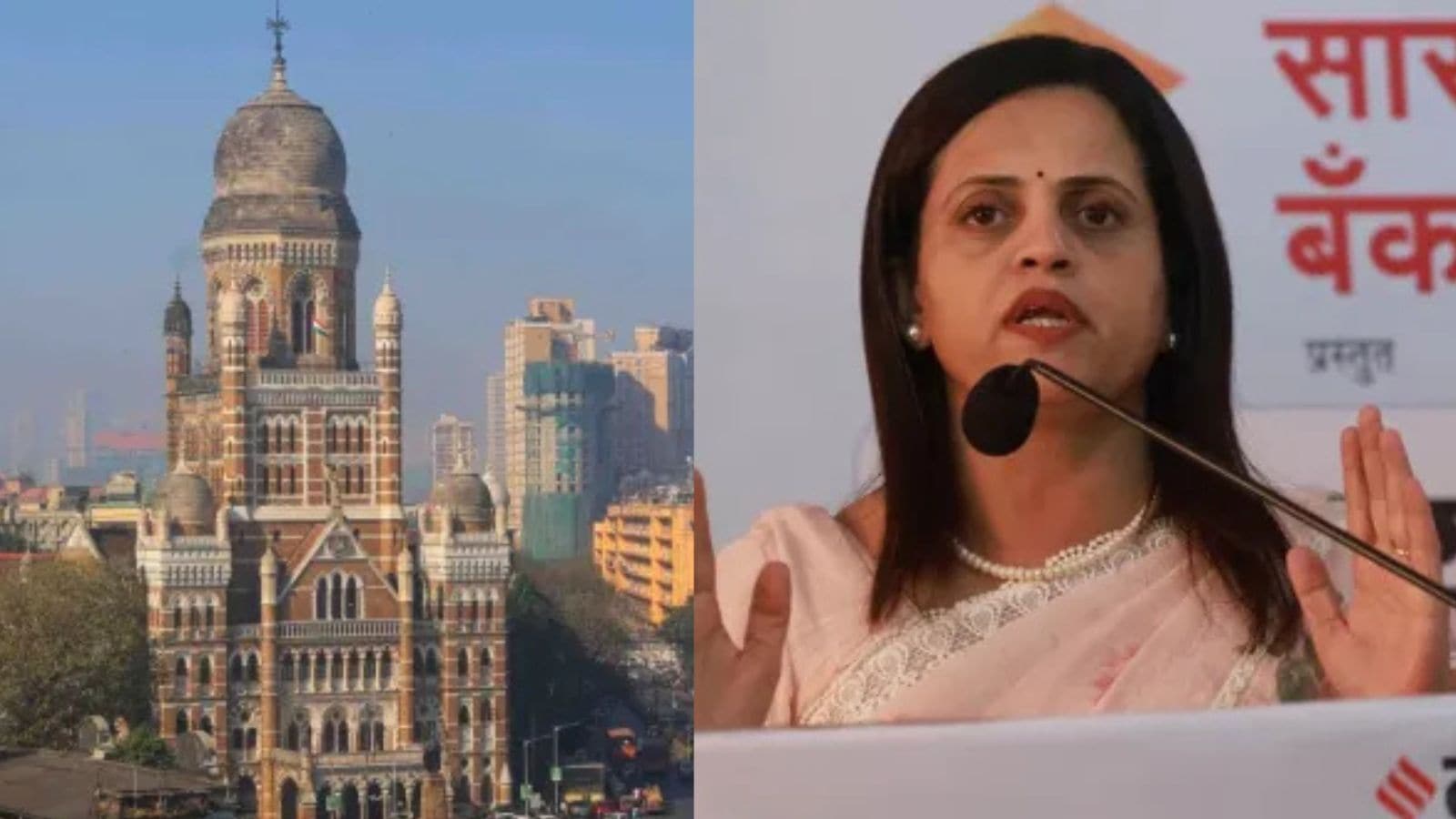 BMC birth-death certificate probe: MHOs suspended, records flagged