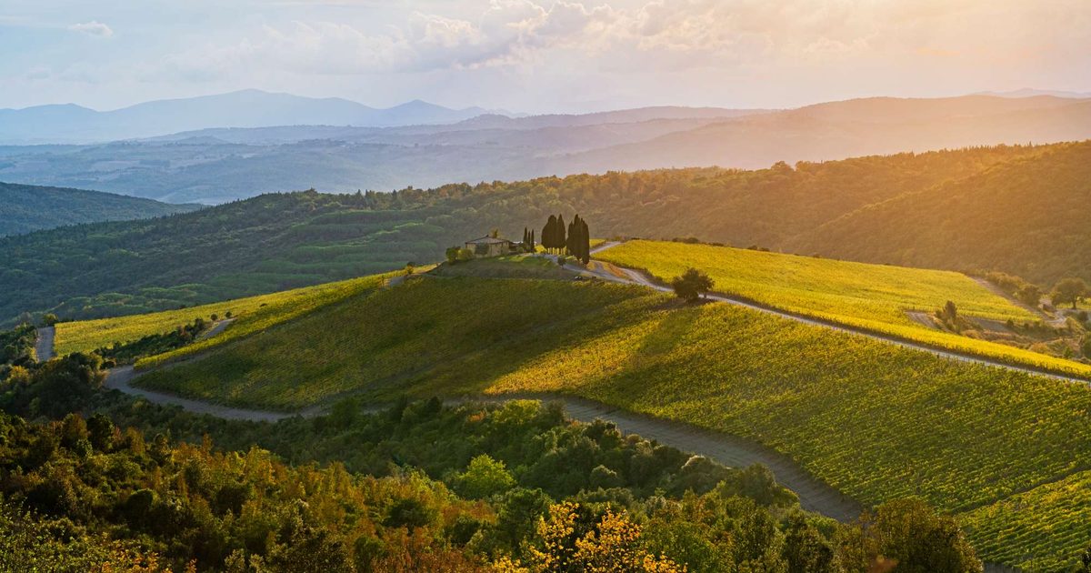 Castiglion del Bosco review: a Tuscan retreat