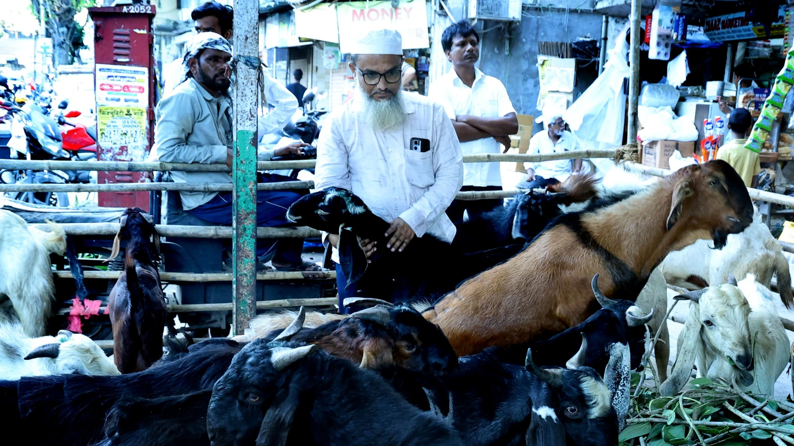 After Mira Road, Bakrid goat disputes spill across Mumbai housing societies | Mumbai News