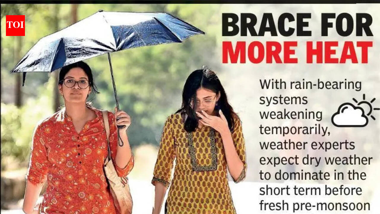 Pre-monsoon showers set to pause, temperatures may touch 42°C again | Nagpur News