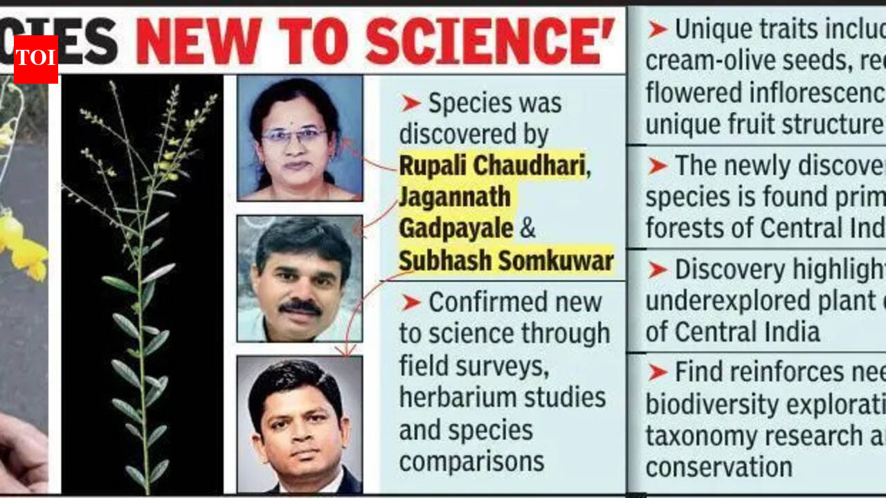 New Botanical Find In Umred Named After Savitribai Phule | Nagpur News