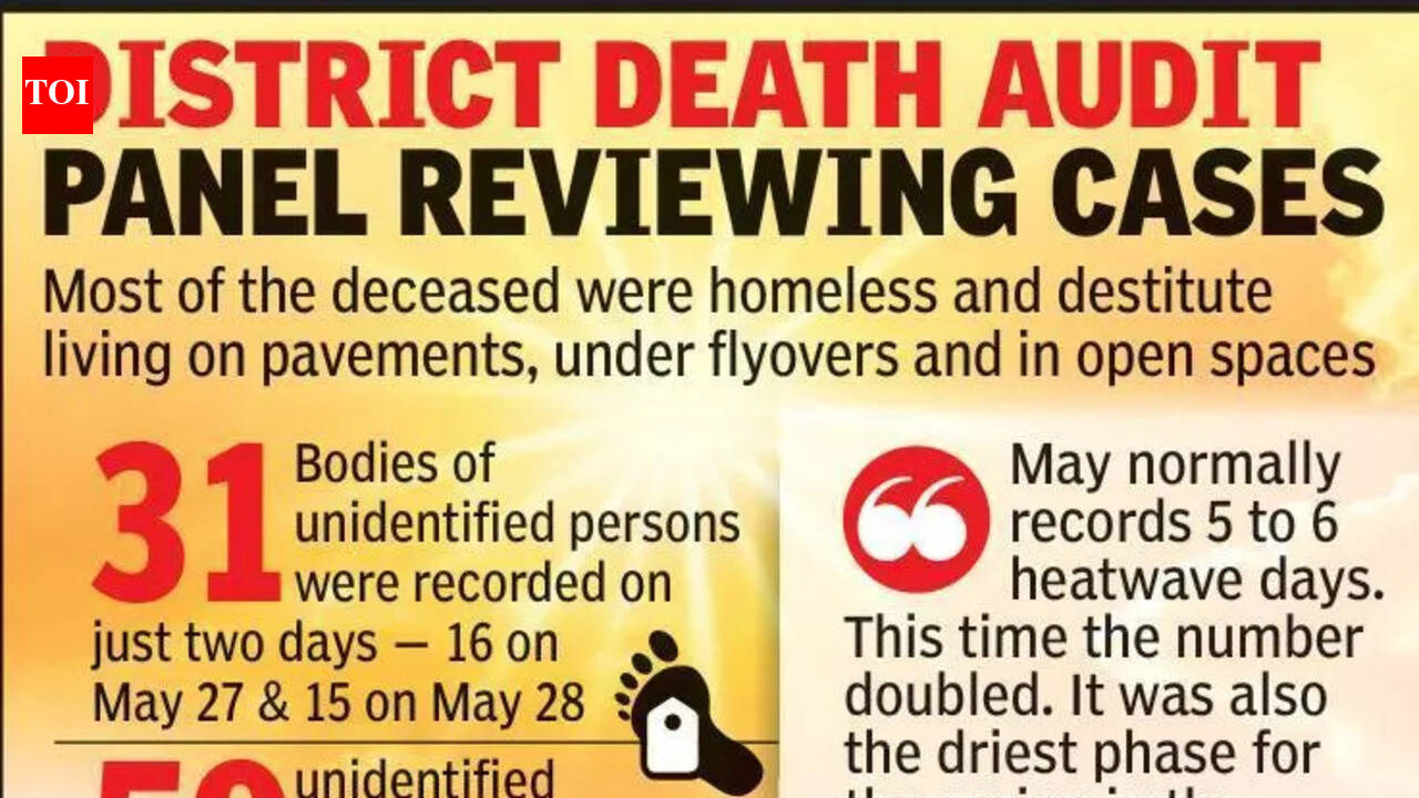 100 Suspected Sunstroke Deaths In May, Cases Under Audit Of Govt Panel | Nagpur News
