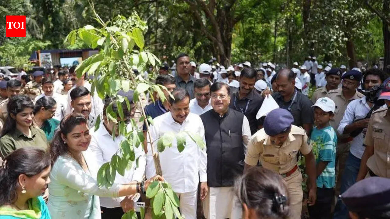 300cr tree plantation drive will make Maharashtra greener: Naik | Nagpur News