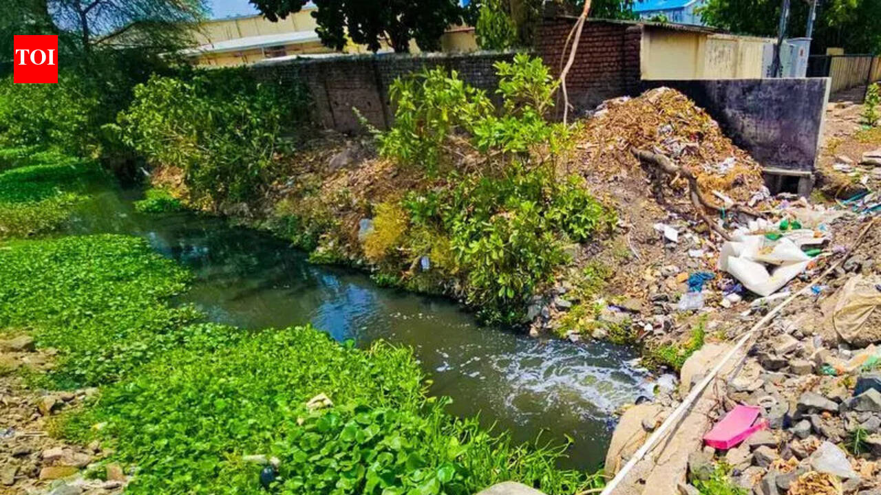 Rs105-Crore Wadi STP Nears Finish, But Will Ambazari Lake Still Receive Sewage? | Nagpur News