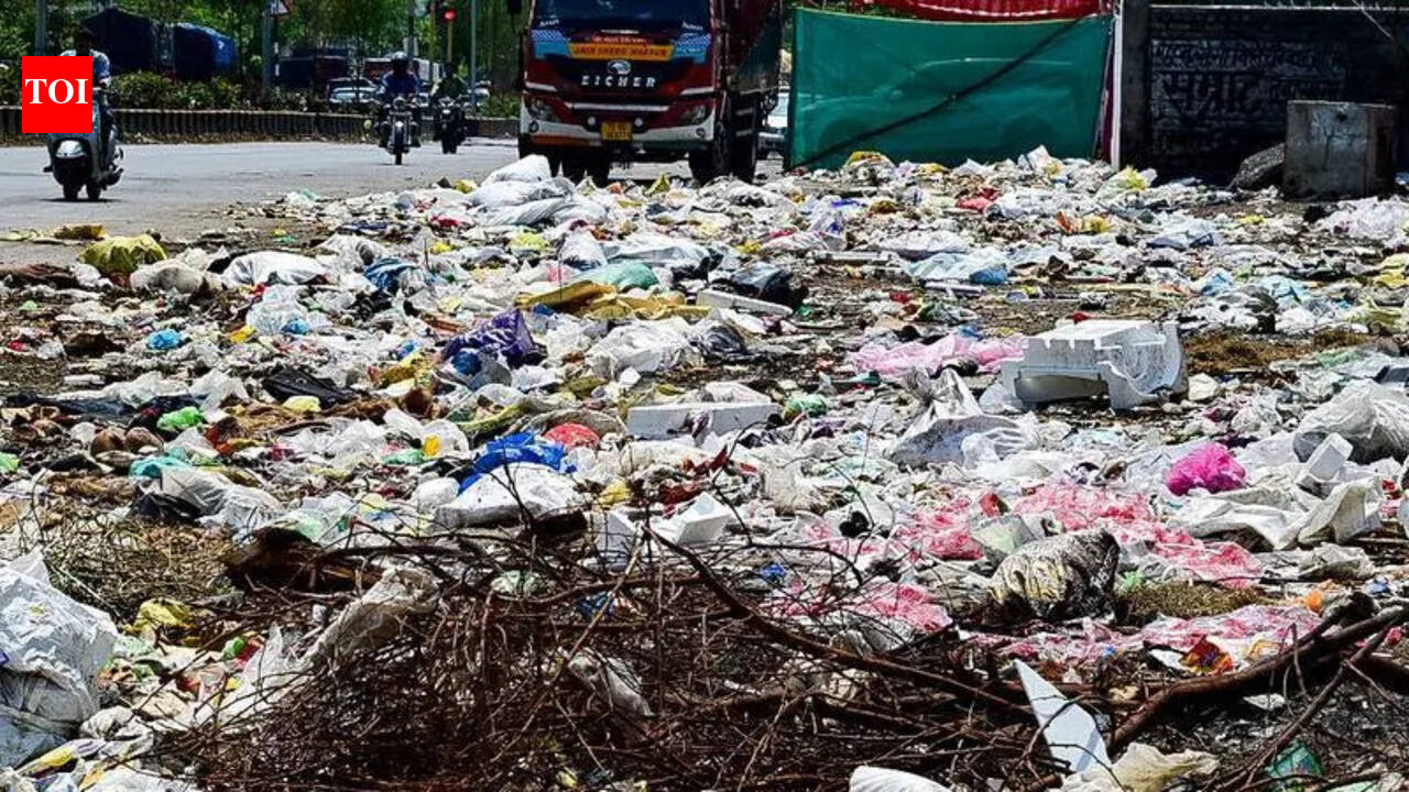 FIRs for Garbage Dumpers, EncroachersAs NMC Admits Civic Mess In City Zones | Nagpur News