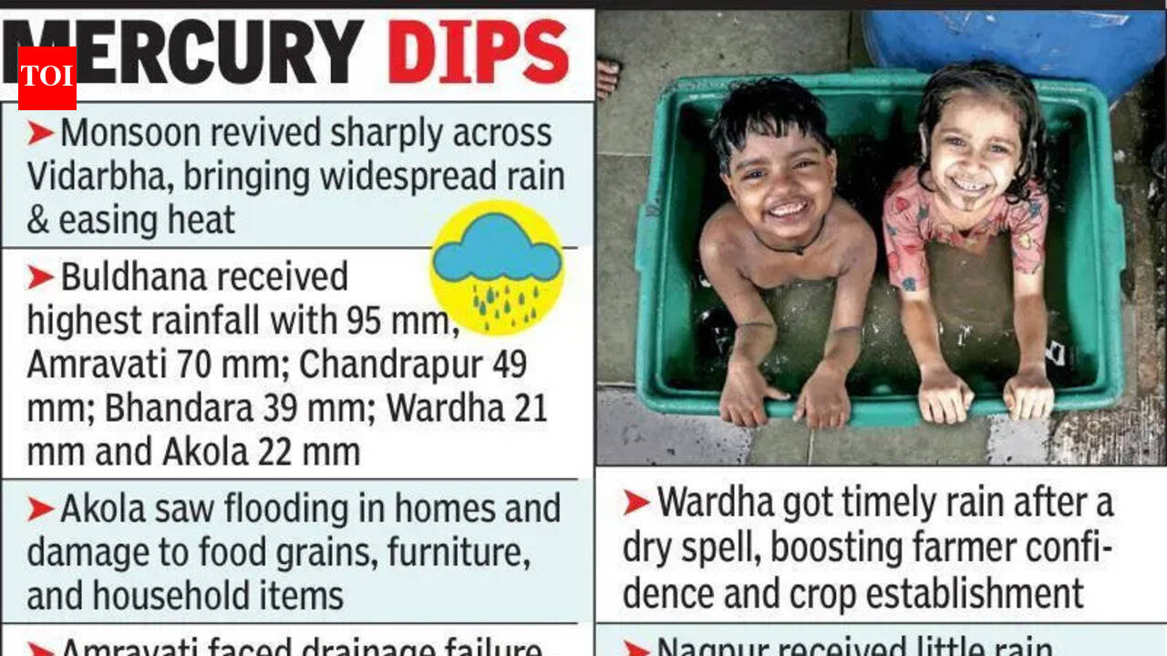 Monsoon Gains Pace, Boosts Agri Works Across Vidarbha | Nagpur News