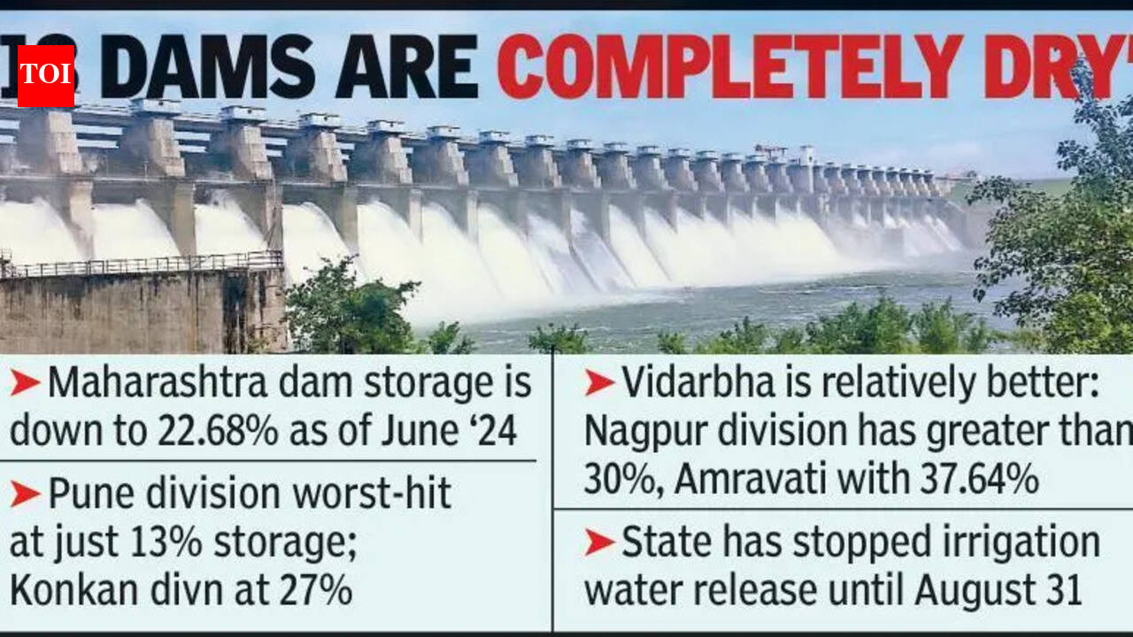 More Water In Vidarbha Dams Than Rest Of Maha | Nagpur News