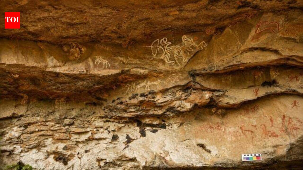 Nagpur University students discover prehistoric rock art heritage in Madhya Pradesh | Nagpur News