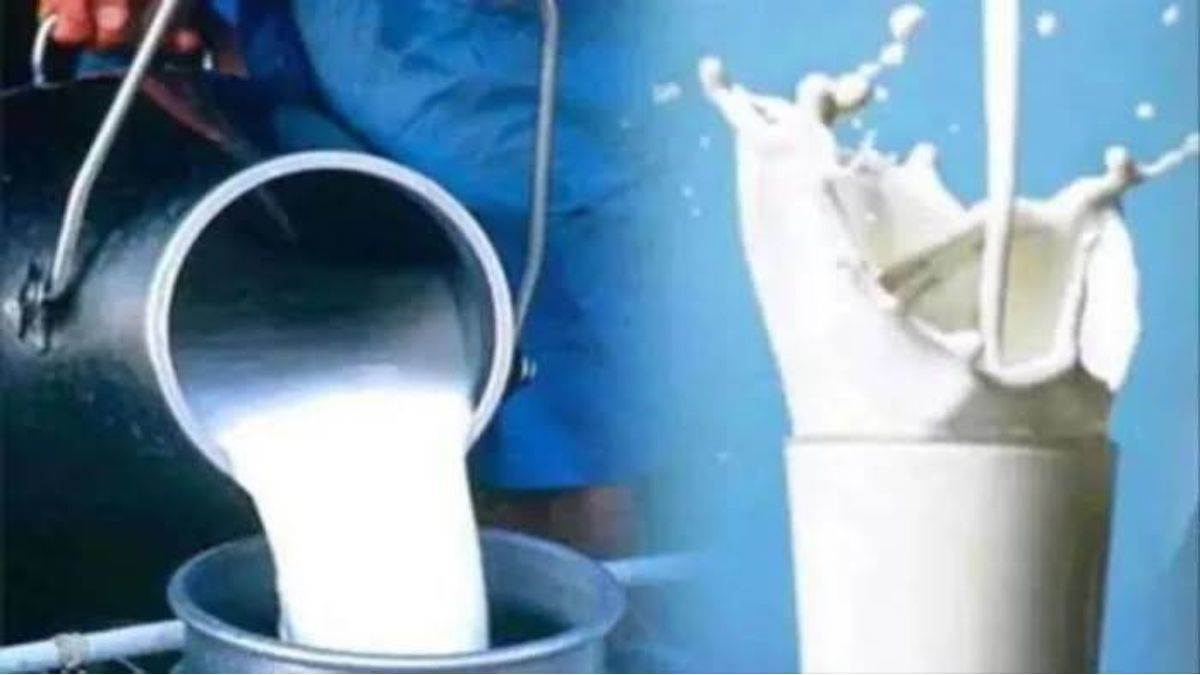 भोपाल दुग्ध संघ का बड़ा फैसला: दूध की खरीद दर बढ़कर हुई ₹870 प्रति किलो फैट; 50 हजार से अधिक पशुपालकों को मिलेगा सीधा फायदा
