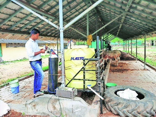 MAFSU develops process to turn stubble into sustainable feed