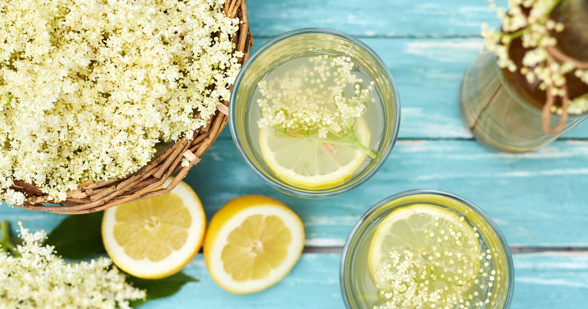 How to identify and use elderflower