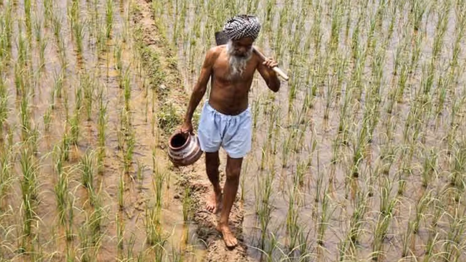 Maharashtra government weighs expanding farm loan waiver to include 5.75 lakh left-out farmers | Mumbai News
