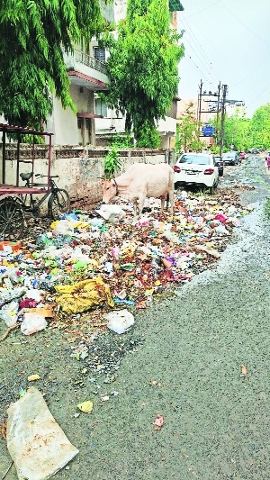Sanitation workers call off strike; crisis far from over
