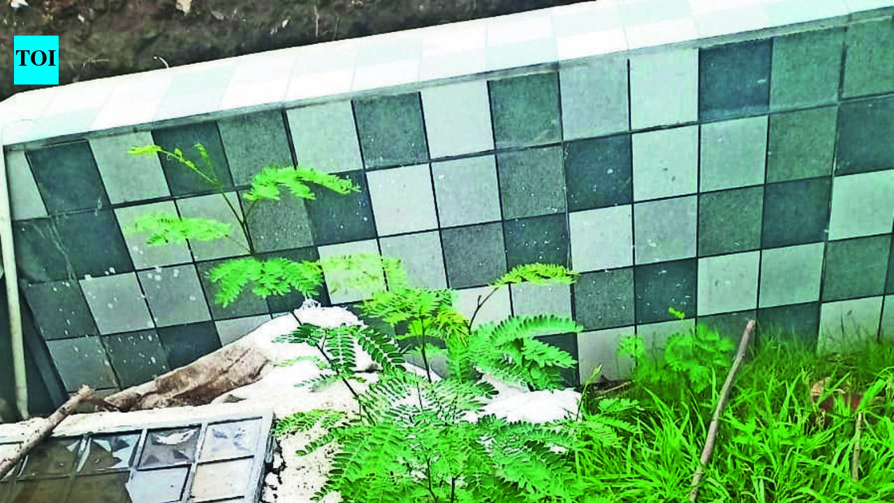 Peddlers Using NMC Properties As Narco Dumps? Citizens Want Action | Nagpur News