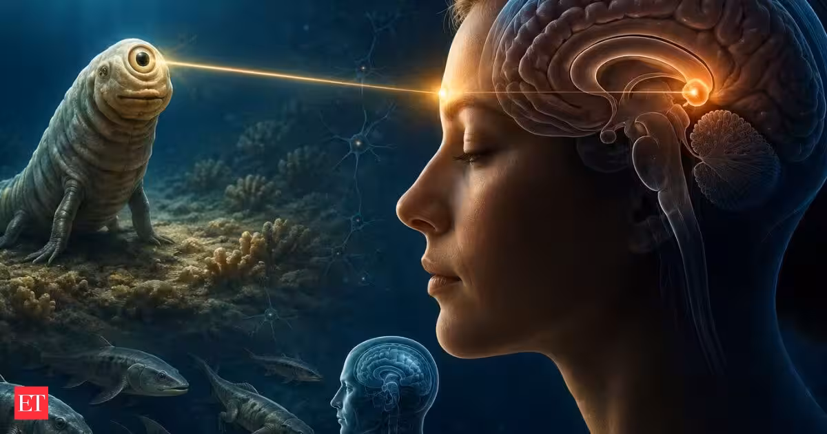 Humans have a ‘third eye’ in the brain: Study links it to a 600-million-year-old Cyclops ancestor