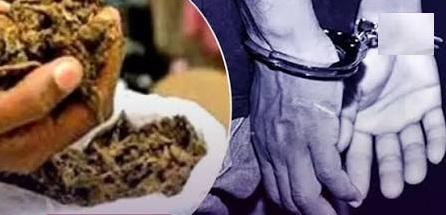 Man possessing 2.69 kg ganja held in Dhantoli