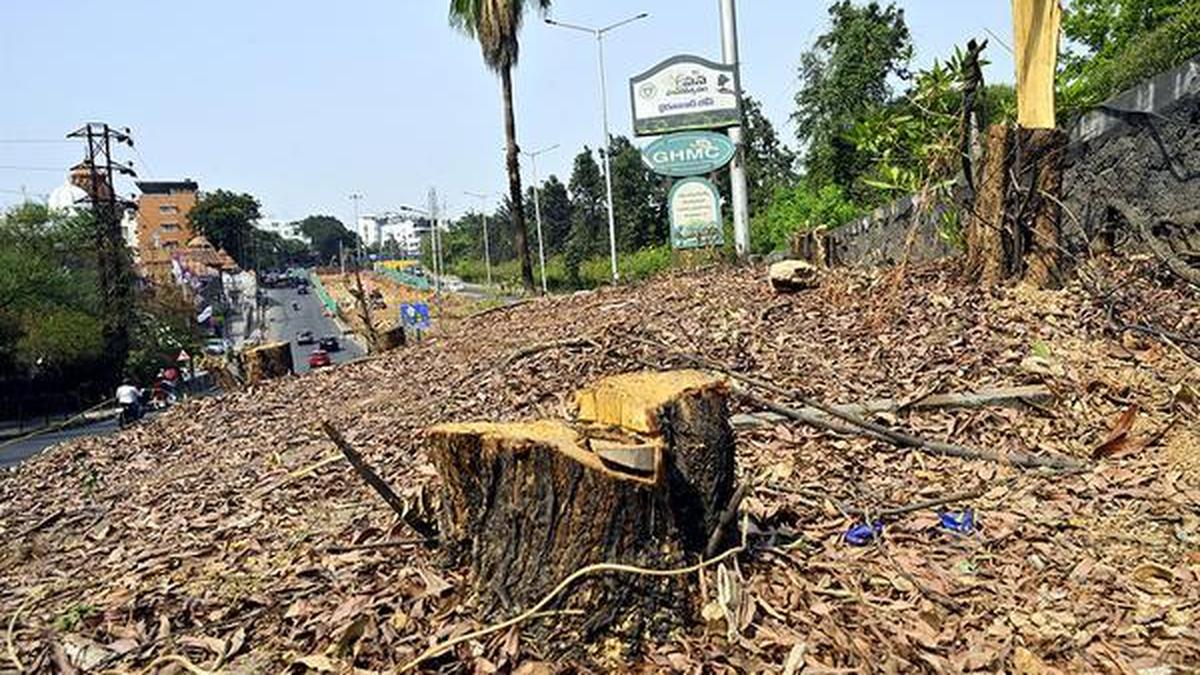 KBR petitioners deny making any complaint to CEC