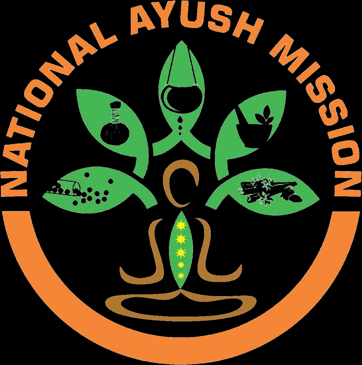 Nagpur tops Maharashtra with 40 ‘Ayushman Arogya Mandirs’ under National AYUSH Mission