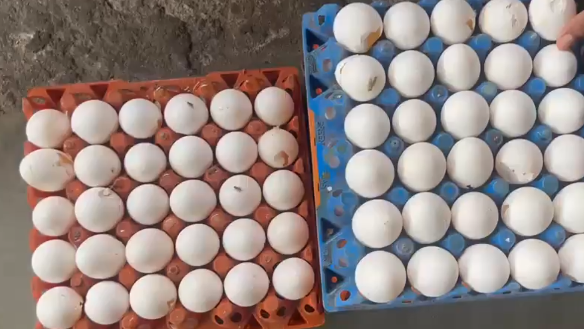 Food kept near drains, use of broken eggs among food safety violations found at Hyderabad food court