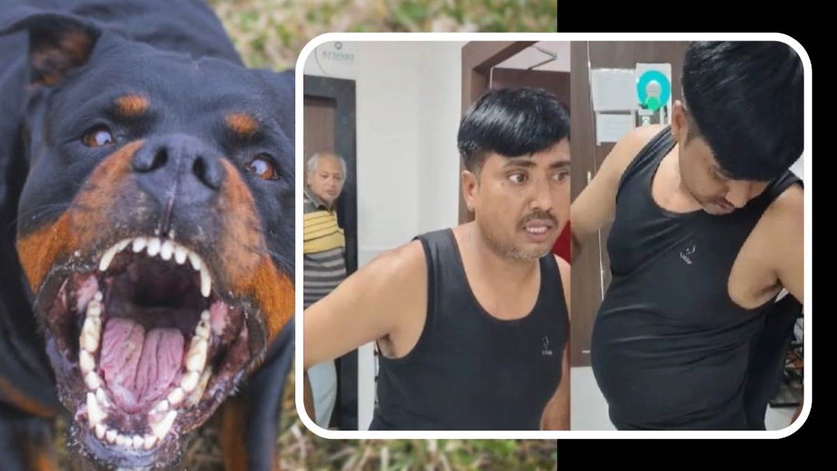 मीटर रीडिंग लेने आए बिजली कर्मचारी पर मकान मालिक ने छोड़े 3 खूंखार कुत्ते, काटकर किया लहूलुहान; FIR दर्ज