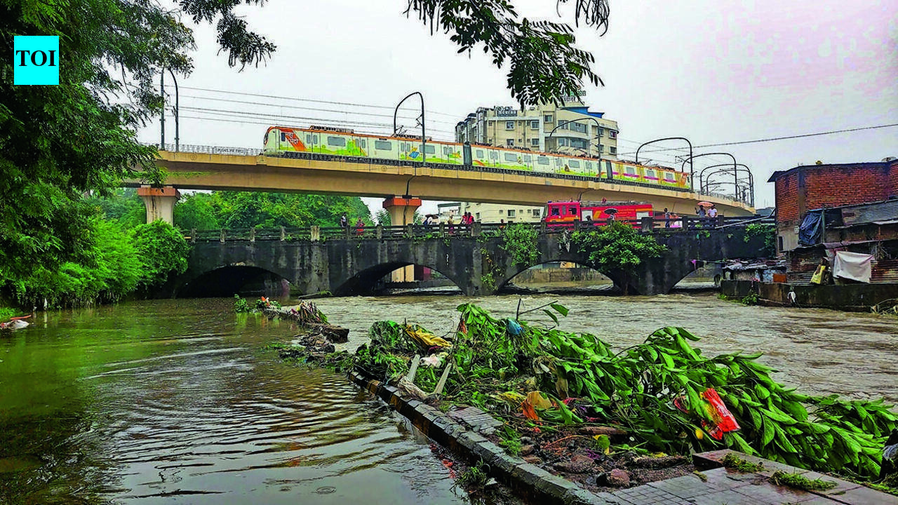 As floods become new norm, NMC hammers out 50-yr mitigation plan | Nagpur News