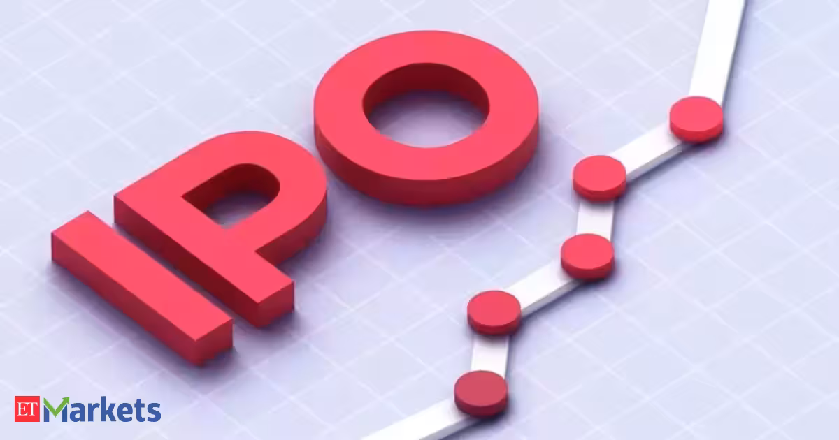 Can LEAP India IPO deliver long-term growth for high risk investors?