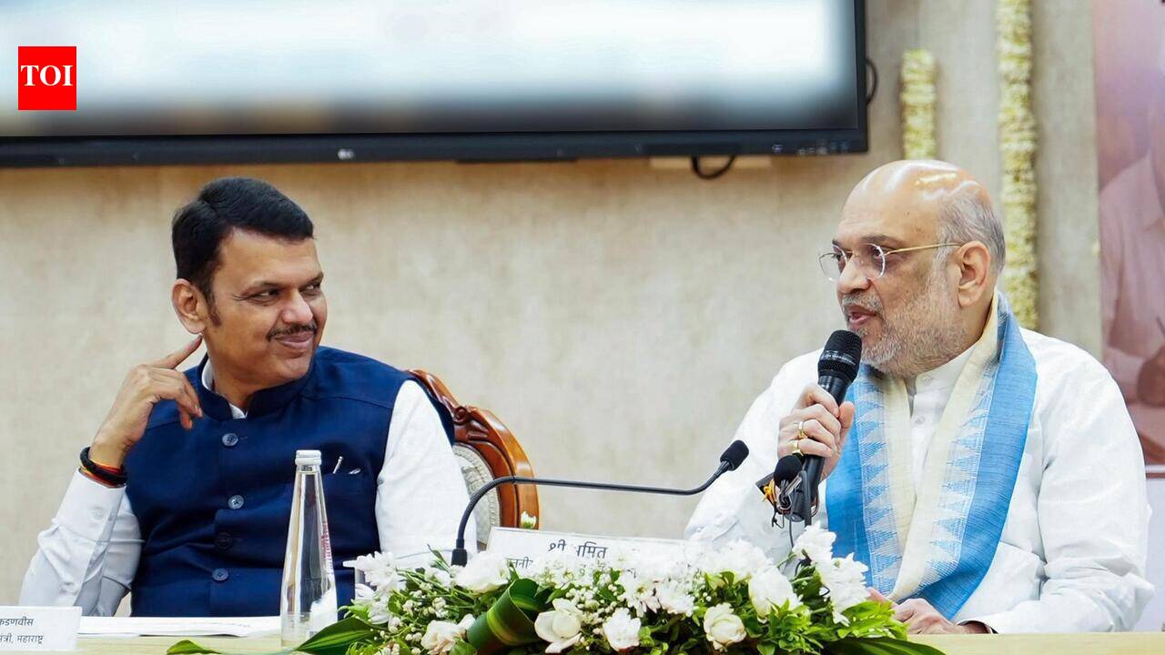 Maha govt may question Meta after BDSM horror | Nagpur News