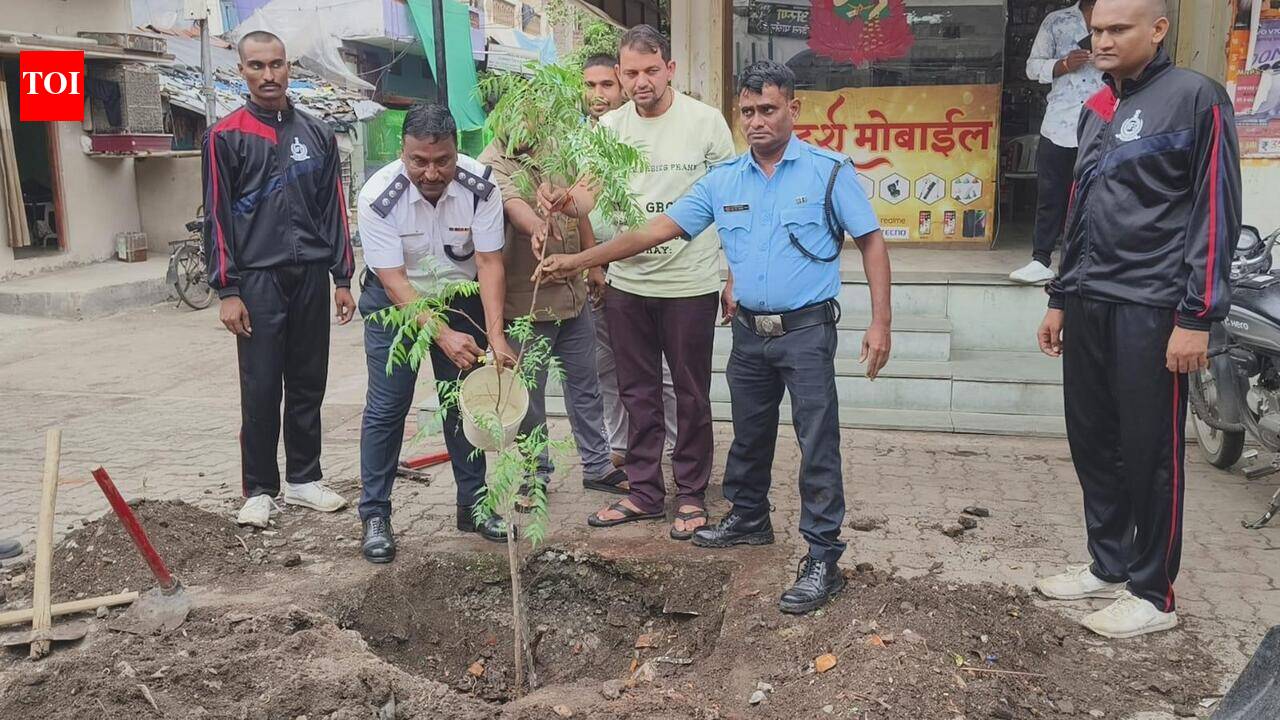 TREE FALLS, NMC PLANTS SAPLING AT SAME SPOT | Nagpur News