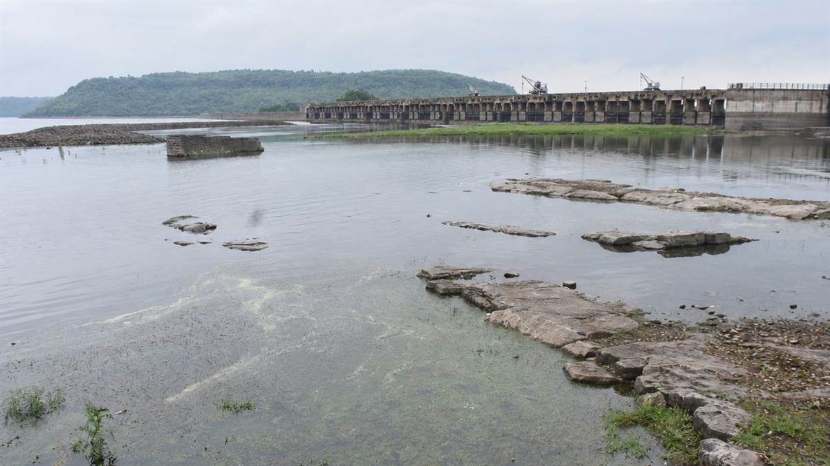 तिघरा का जलस्तर घटा… ककैटो-अपर ककैटो भी खाली, ग्वालियर में गहरा सकता है जल संकट; दो दिन छोड़कर पानी देने पर विचार