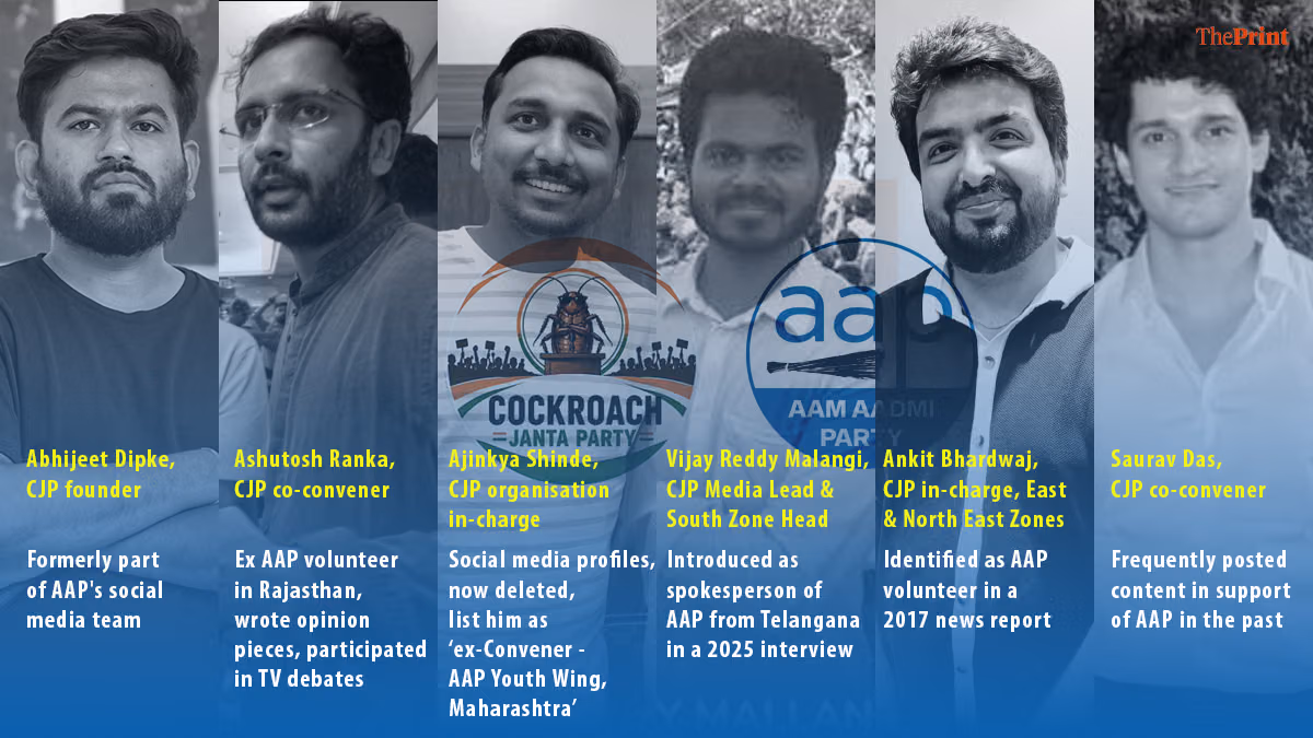 Half of CJP core cockroaches have AAP in their past