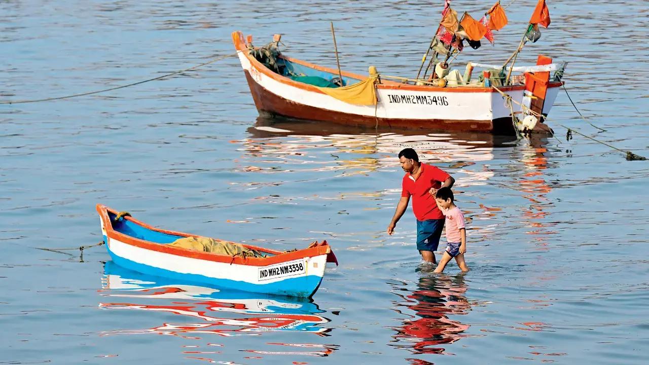 Maharashtra resumes open-sea fishing; coastal ban stays till August 15