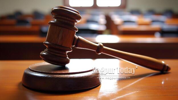 HC raps NMC over ‘selective’ bulldozer action, gives final deadline to clear encroachments