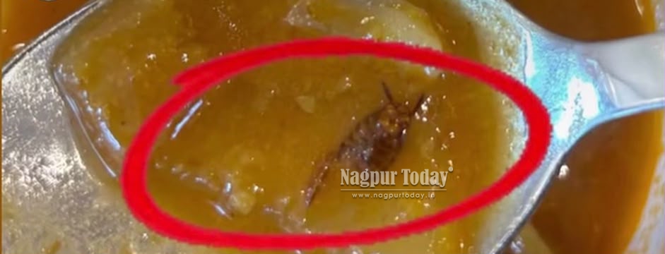 Worm Allegedly Found in Sambar at Mangaluru Kitchen, Nagpur