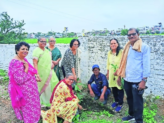 Plantation drive by Inner Wheel Club of Nagpur held