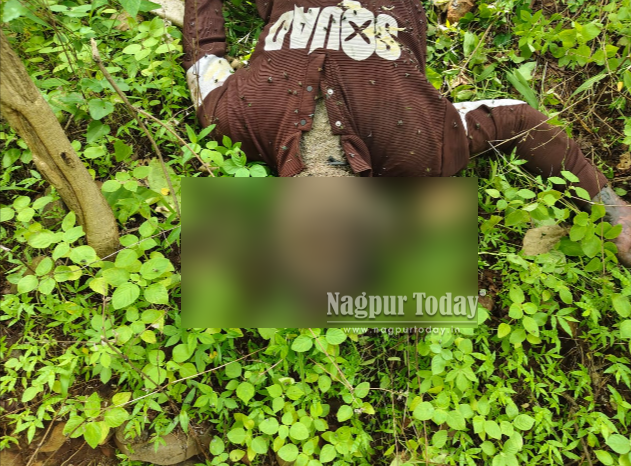 Decomposed body of unidentified youth found in Hingna forest