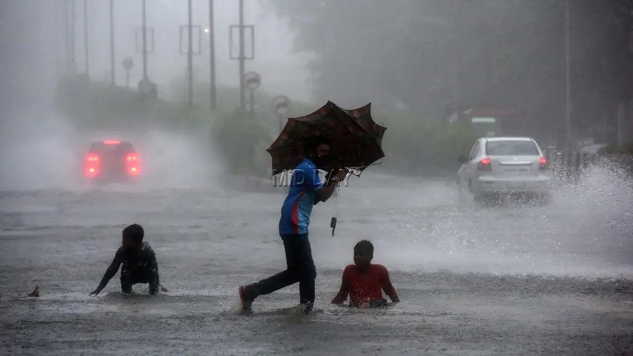 Mumbai weather update: IMD forecasts heavy rain; Thane, Palghar also under yellow alert